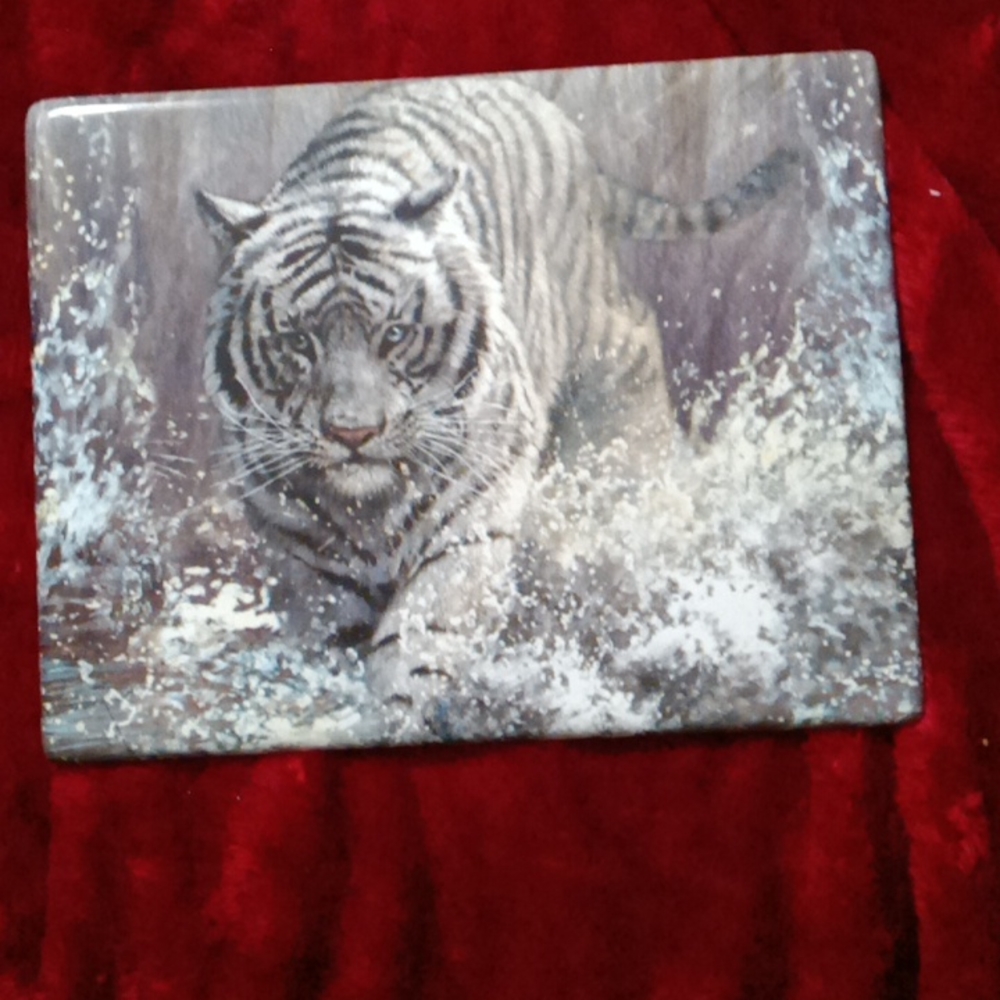 Masters of Wild issue 1-3 $50 each obo